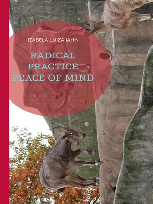 cover image of Radical Practice Peace of Mind